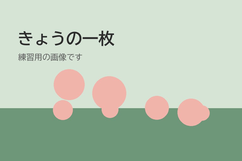 調和と新しい一歩